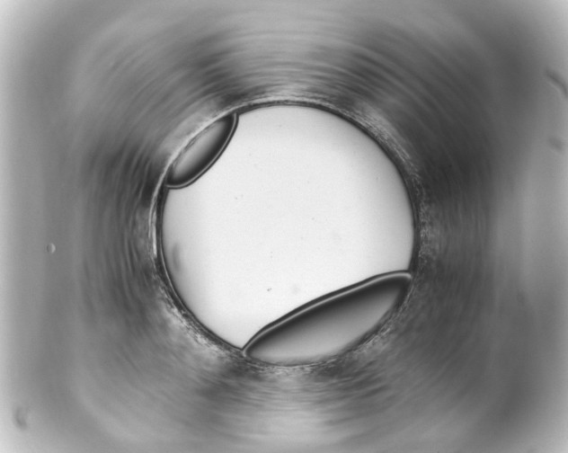 X0000100230892200806271747