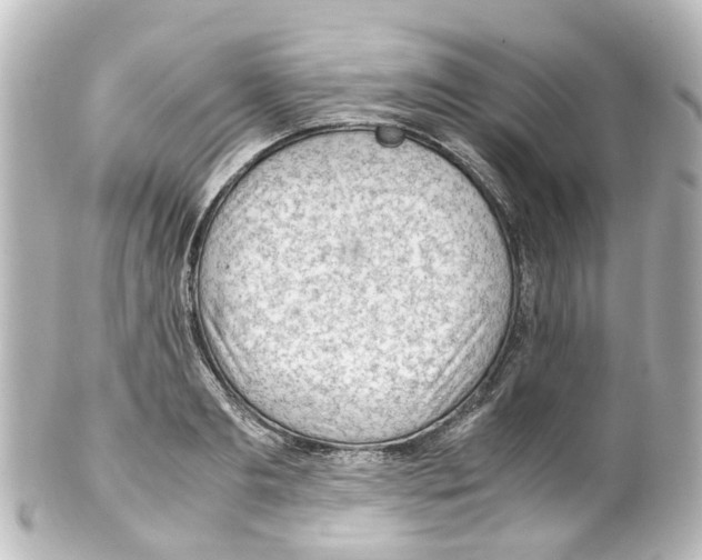 X0000100230893200806271747