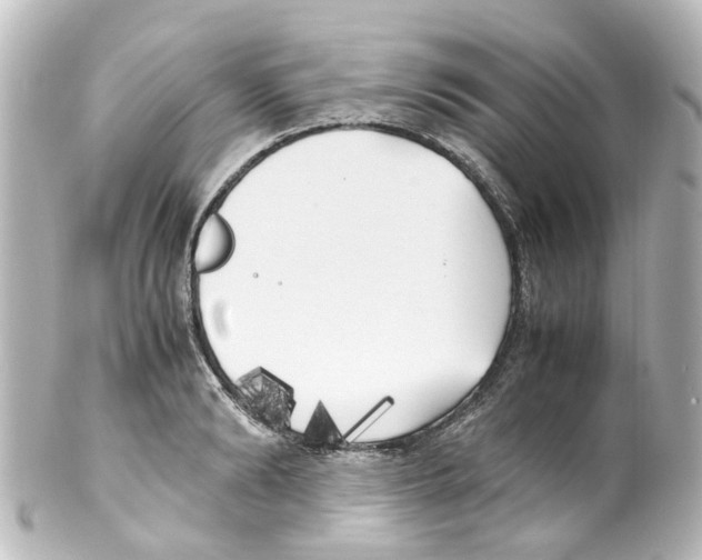 X0000100230894200806271747