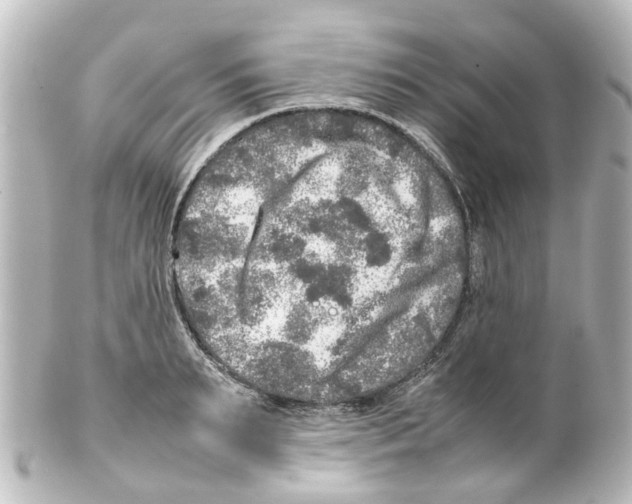 X0000100230895200806271747