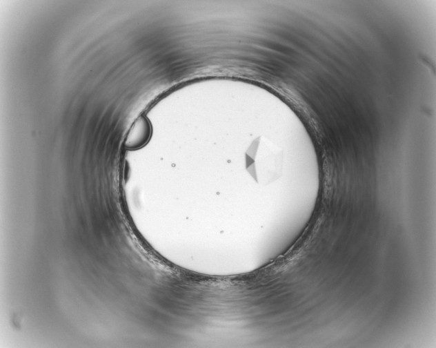 X0000100230896200806271747
