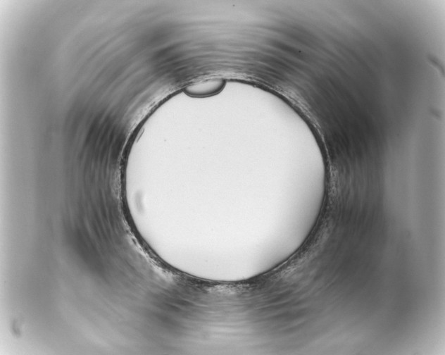 X0000100230898200806271747
