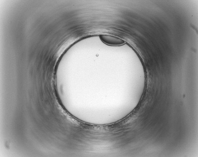 X0000100230901200806271747