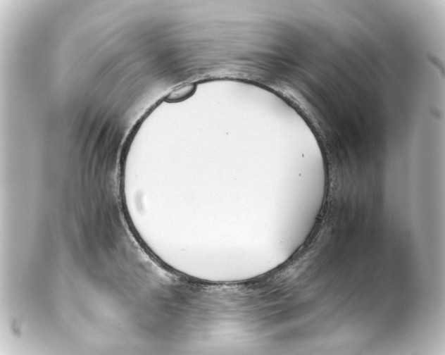 X0000100230902200806271747