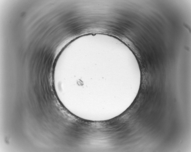 X0000100230904200806271747