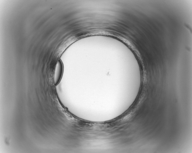 X0000100230905200806271747