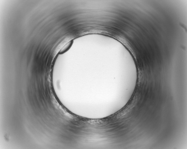 X0000100230906200806271747
