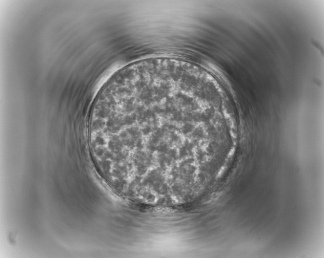 X0000100230907200806271747