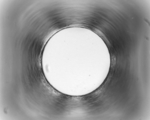 X0000100230908200806271747