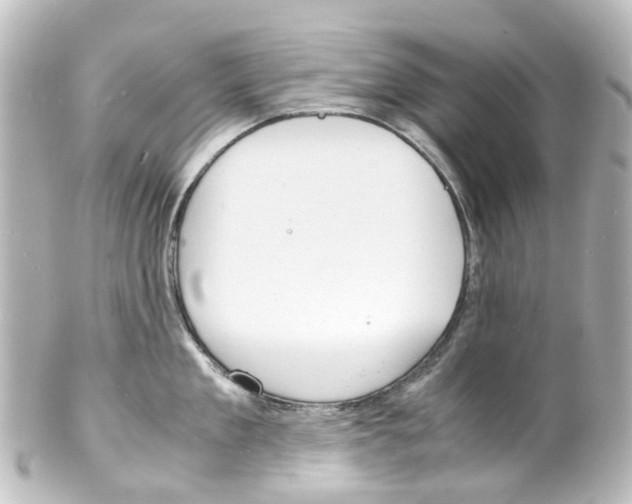X0000100230909200806271747