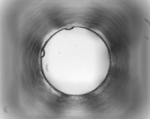 X0000100230910200806271747