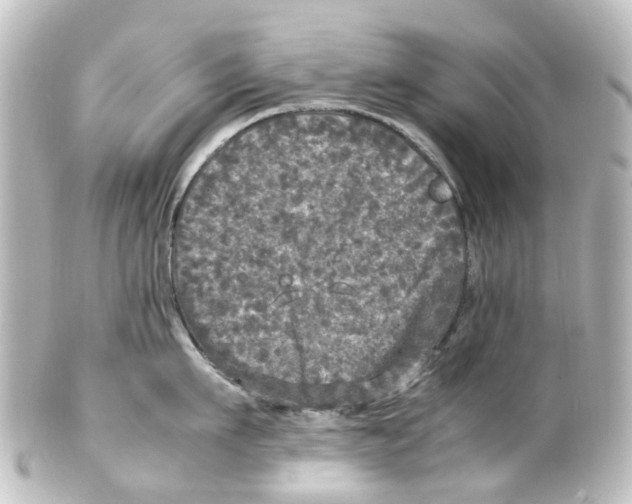 X0000100230911200806271747