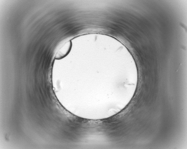 X0000100230912200806271747