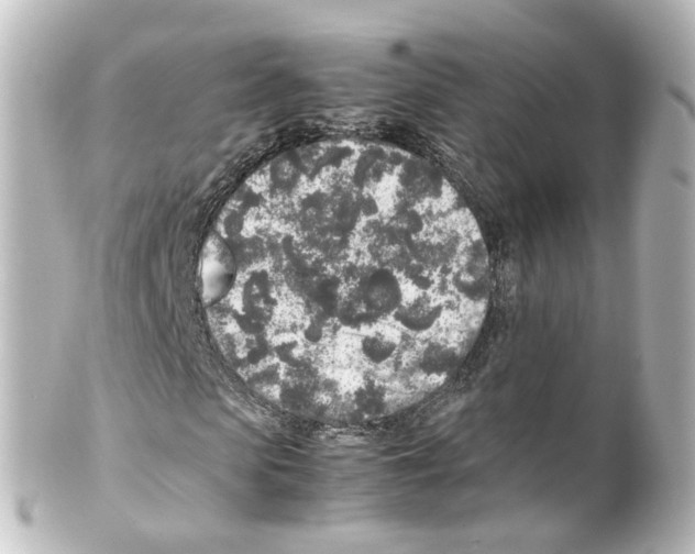 X0000100230913200806271746