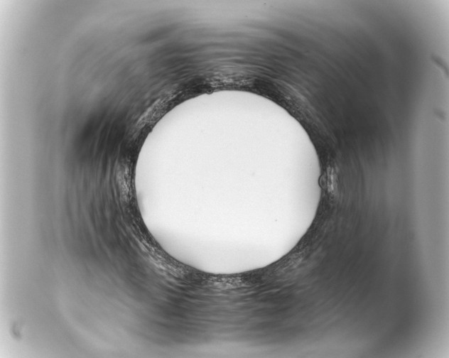 X0000100230915200806271746