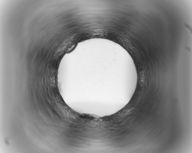 X0000100230916200806271746