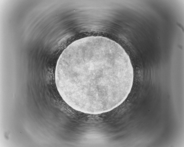 X0000100230918200806271746