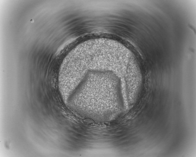 X0000100230919200806271746