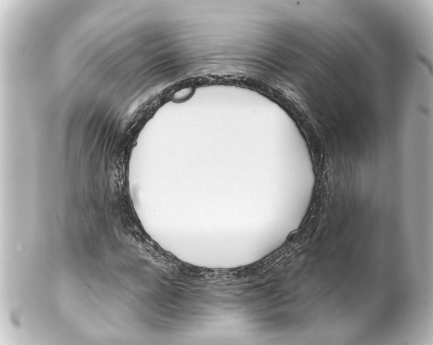X0000100230920200806271746