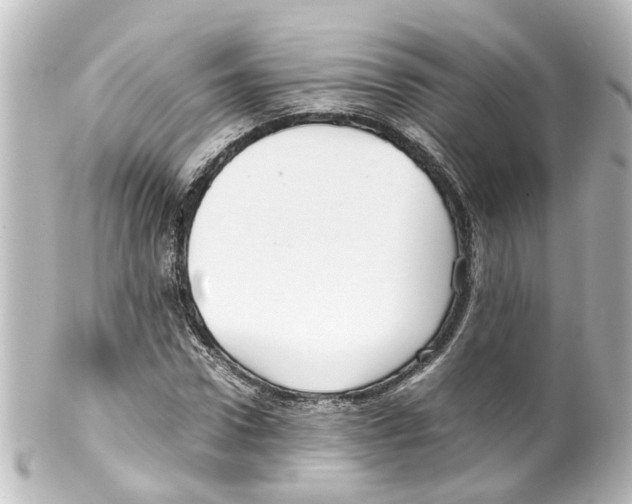 X0000100230922200806271746