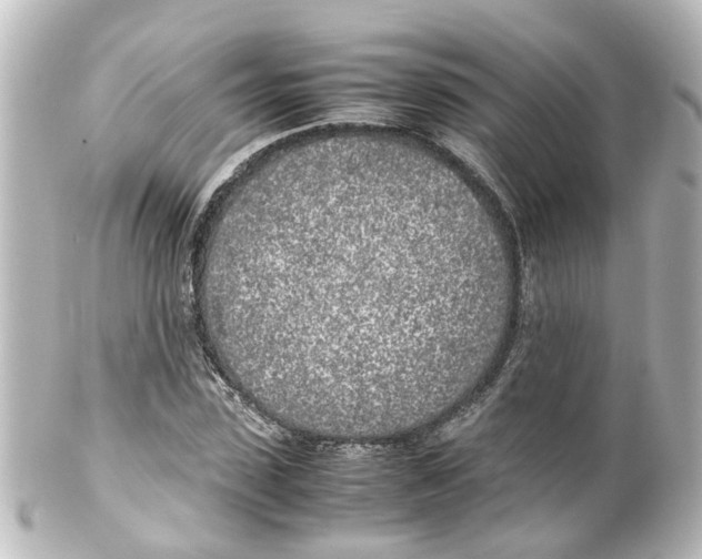 X0000100230923200806271746