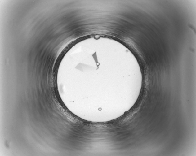 X0000100230924200806271746