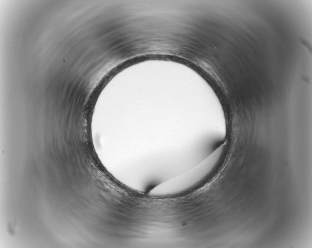 X0000100230926200806271746