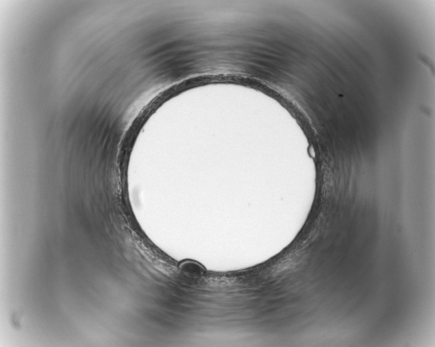 X0000100230927200806271746