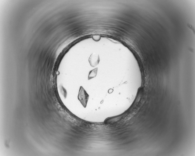 X0000100230928200806271746