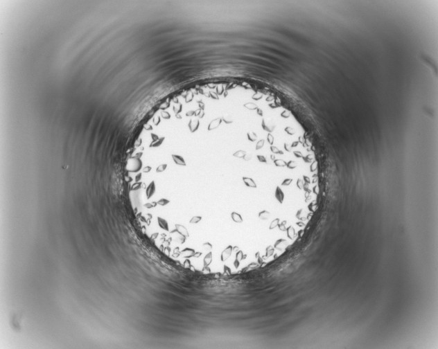 X0000100230929200806271746
