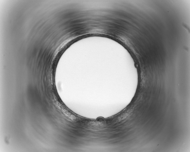 X0000100230931200806271746