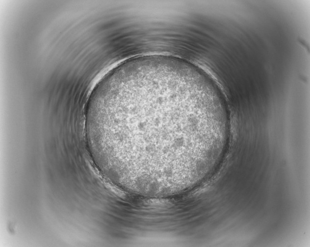 X0000100230933200806271746