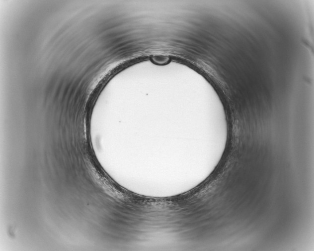 X0000100230934200806271746