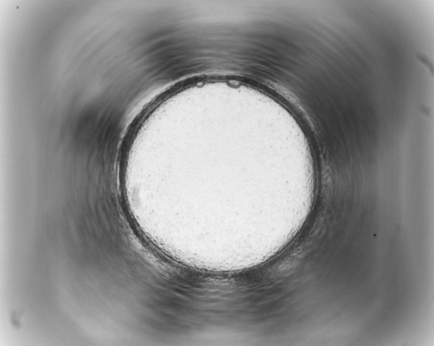 X0000100230935200806271746