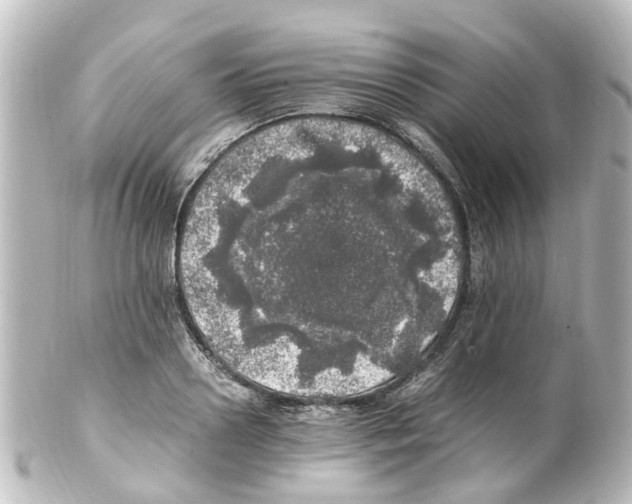 X0000100230938200806271746