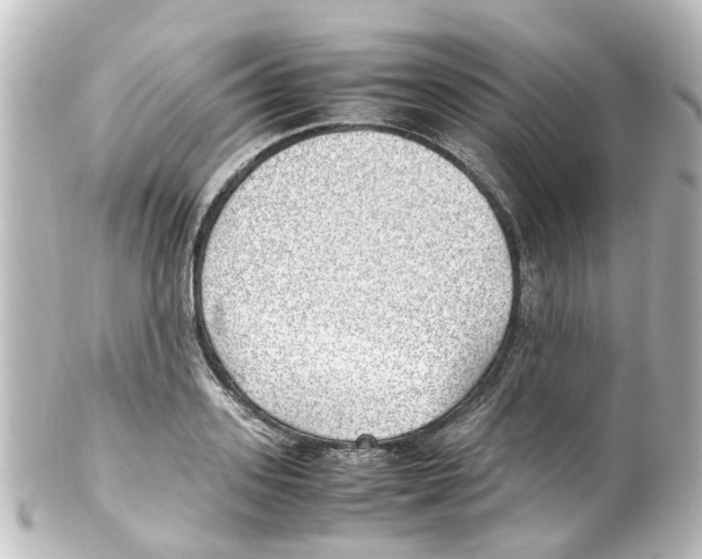 X0000100230939200806271746