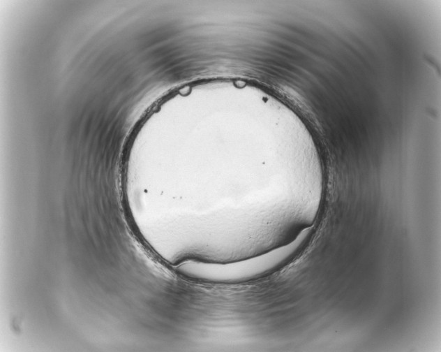 X0000100230942200806271746