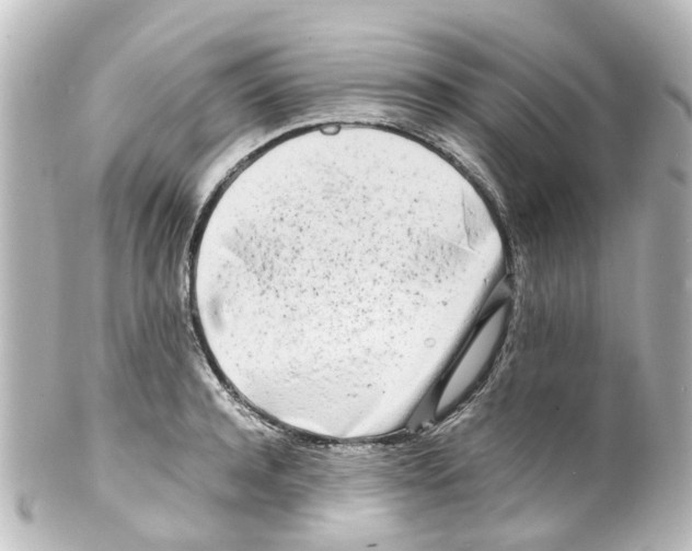 X0000100230944200806271746