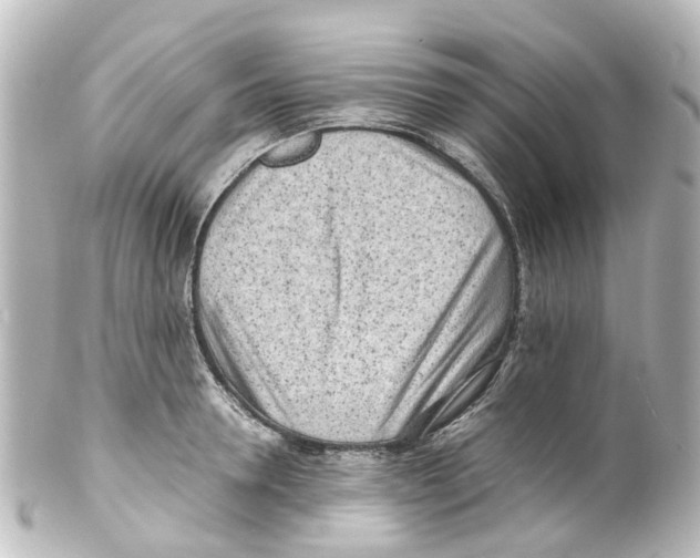 X0000100230946200806271747
