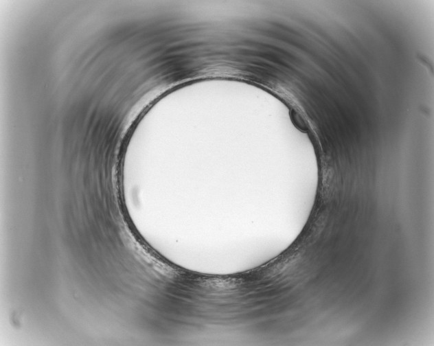 X0000100230947200806271747
