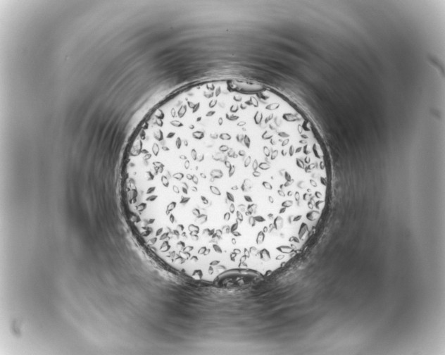 X0000100230949200806271747