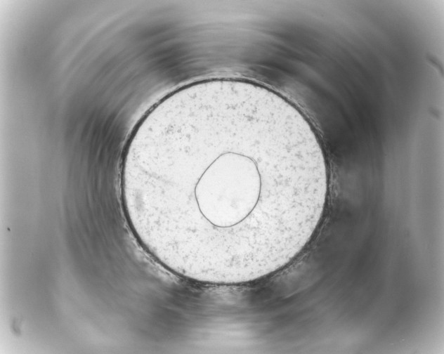X0000100230950200806271747