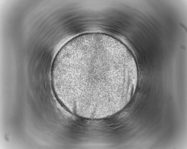 X0000100230951200806271747