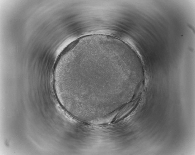 X0000100230952200806271747