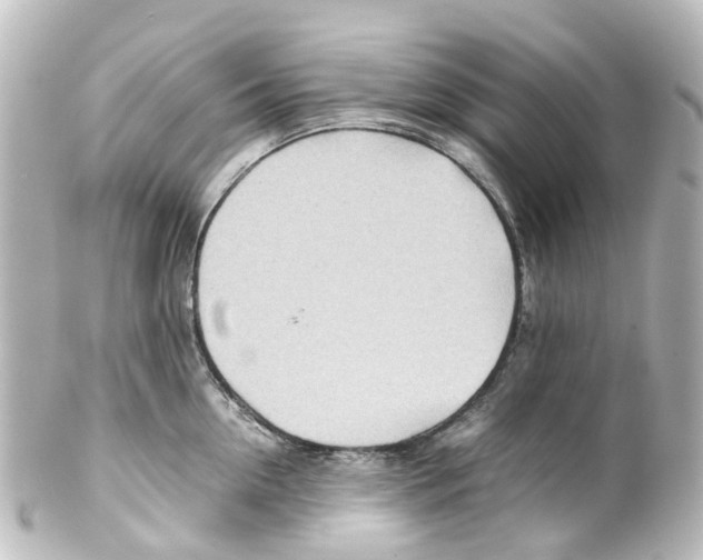 X0000100230954200806271747