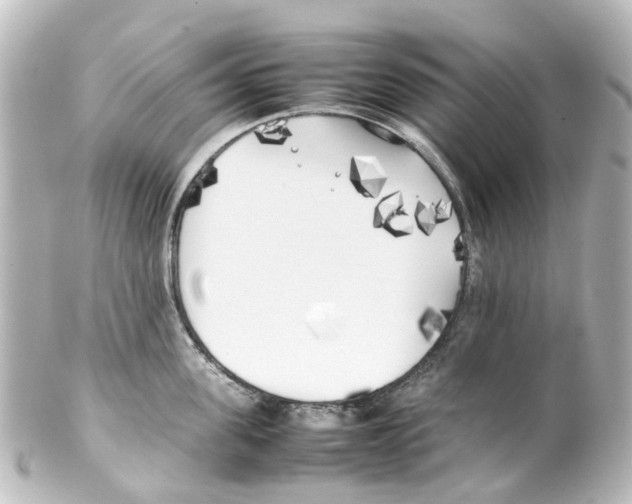 X0000100230955200806271747