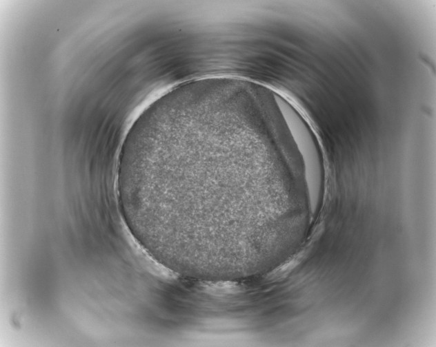 X0000100230957200806271747