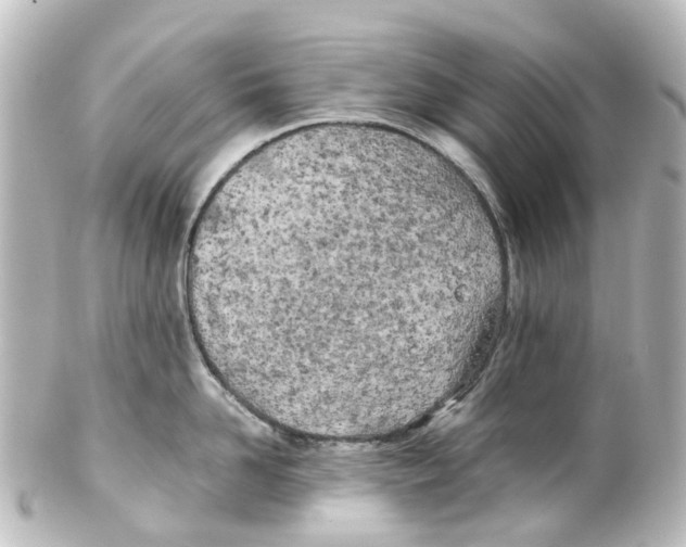 X0000100230958200806271747