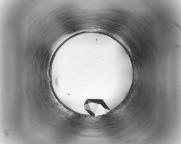 X0000100230959200806271747