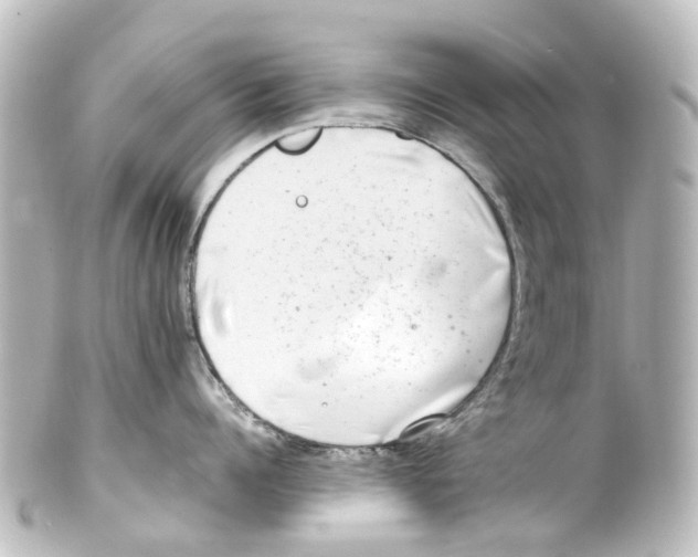 X0000100230960200806271747